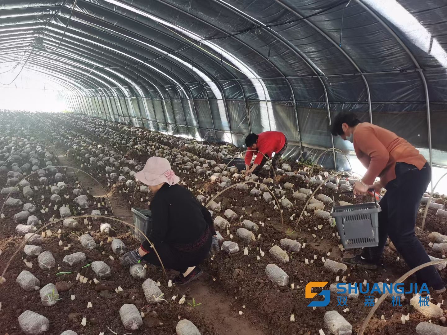 1648347263118097.png D3C853F264AC27E8ED4890059CB5769C.png