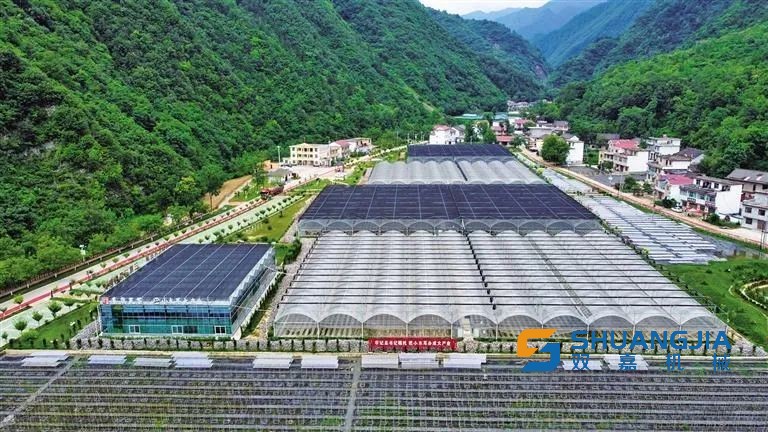 1648948476204197.jpg 14-43-22-94-283825.jpg