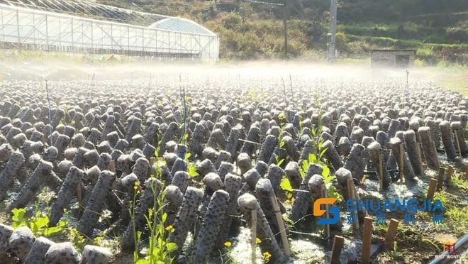 1649815450455222.jpg 11-11-00-54-283825.jpg