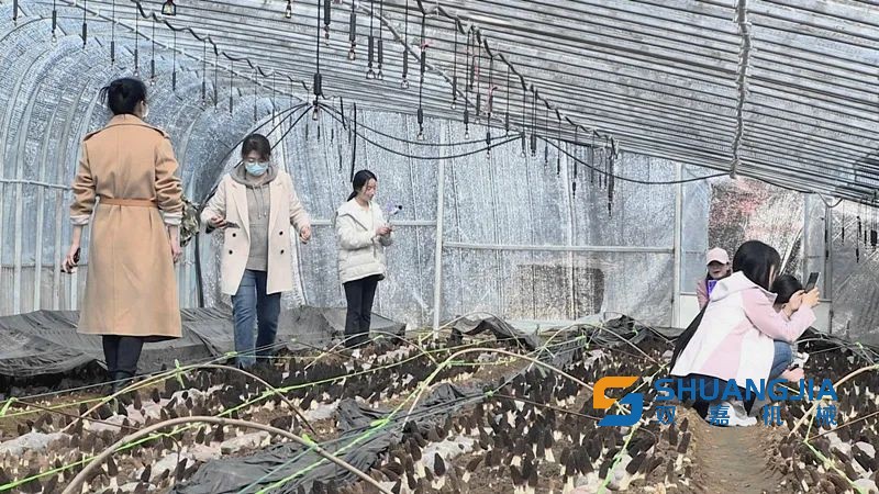 1650082234118065.jpg 09-35-32-40-283825.jpg