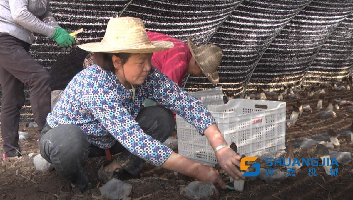 1650168718856123.png 14-24-46-82-283825.png