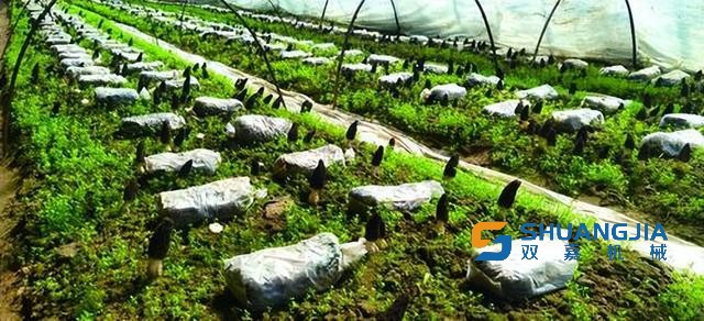 1650249727116361.jpg 20-26-13-28-283825.jpg