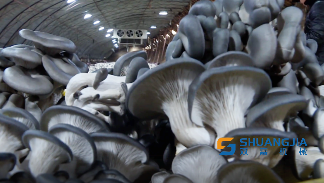 1650249885203533.png 09-54-07-92-283825.png