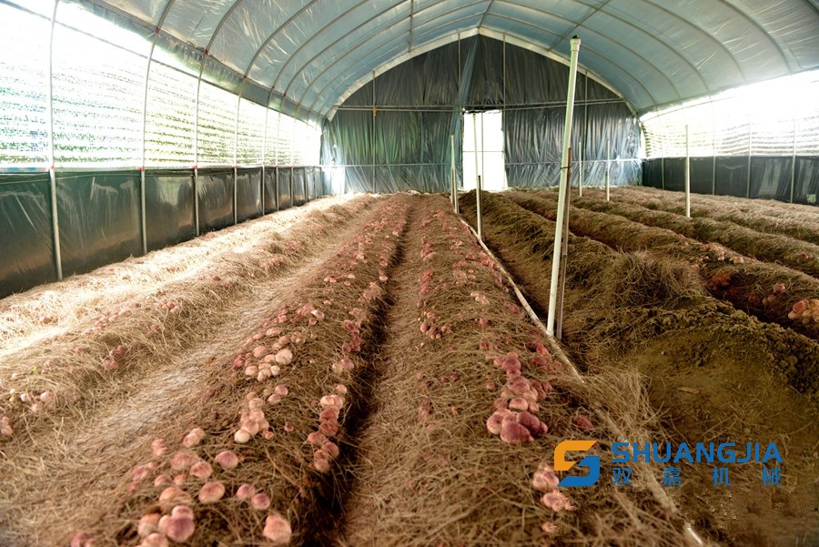 1650677787128620.jpg 11-05-31-26-283825.jpg