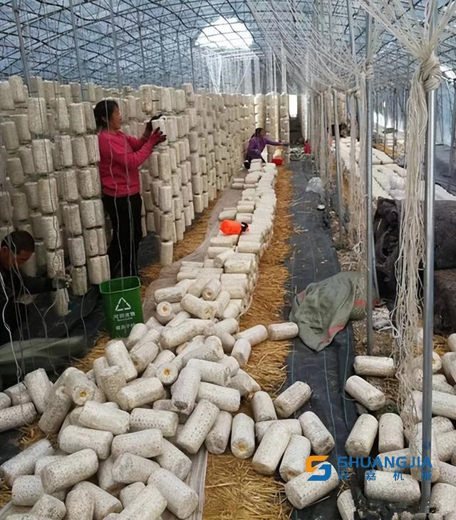 1650936788178705.jpg 11-58-39-92-283825.jpg