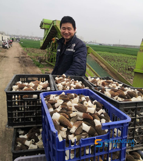 1651458396100535.png 10-36-21-38-283825.png