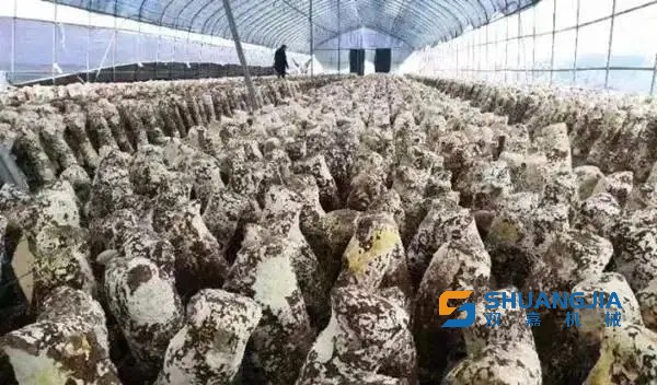 1651632127197376.jpg 16-15-08-69-283825.jpg