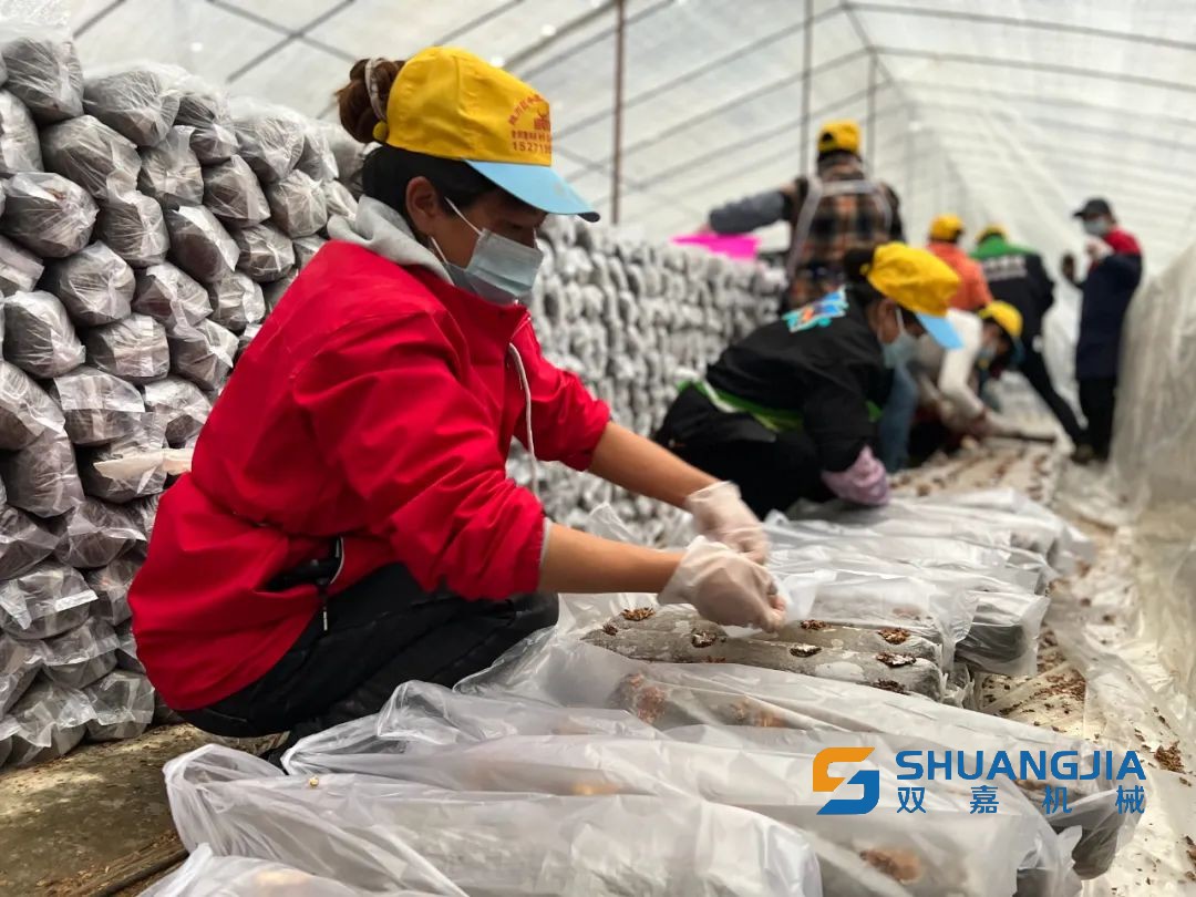 1651802087409704.jpg 10-07-31-94-283825.jpg