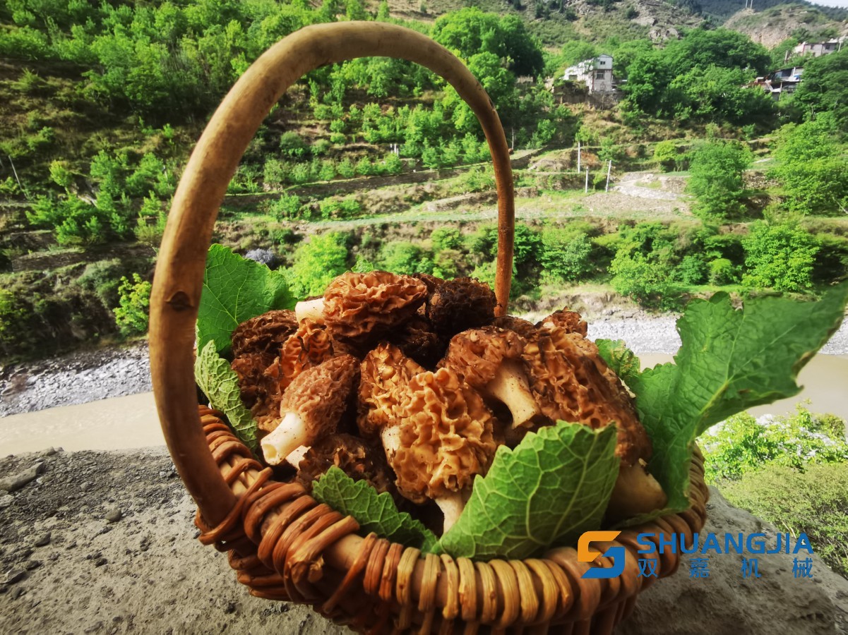 1652320823181639.jpg 14-47-11-30-283825.jpg