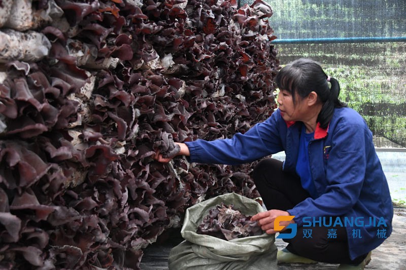 1652834551488322.jpg 16-40-17-97-283825.jpg