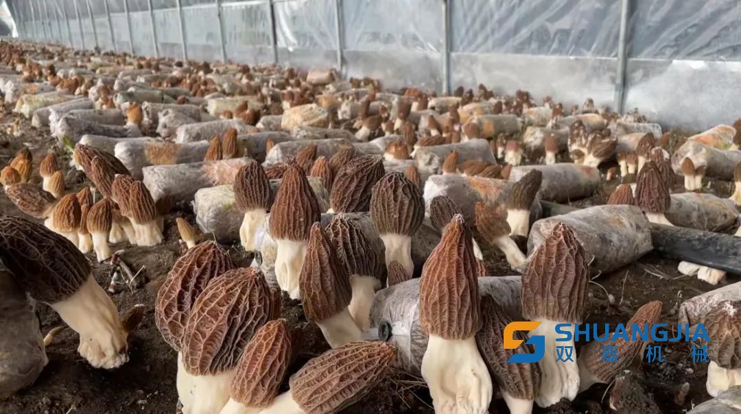 1653012375706659.jpg 14-14-50-56-283825.jpg