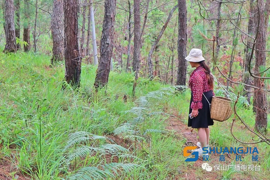 1654480355545746.jpg b190-416e10d3b0b6191b5faf8a371791f204.jpg