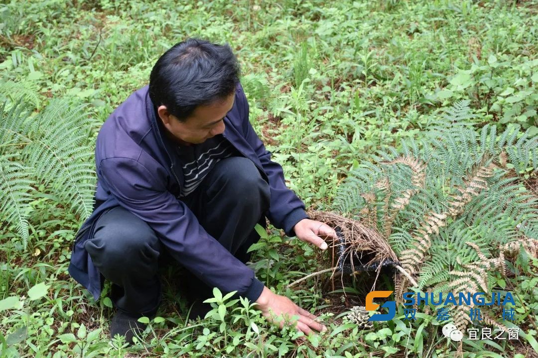 1654480494910007.jpg 5bb0-ace2c1640908fe0561edc98c4a0a6ab8.jpg