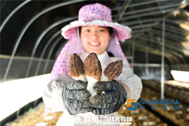 1654562548743140.jpg 641.jpg