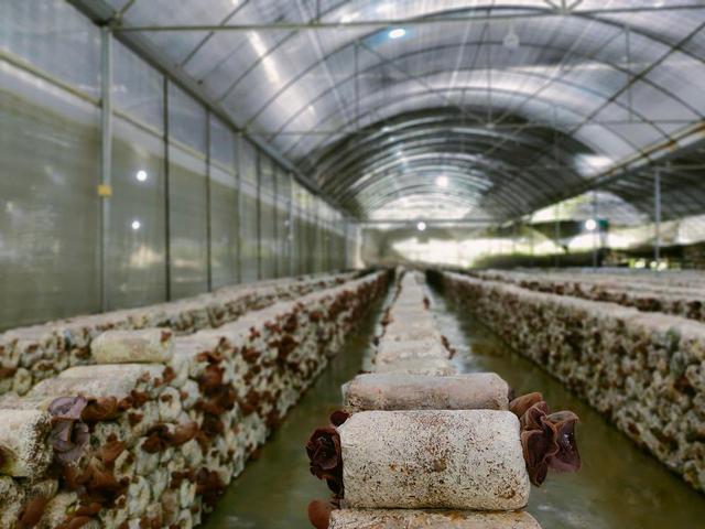 1654830635105403.jpeg 09-49-36-76-283825.jpeg