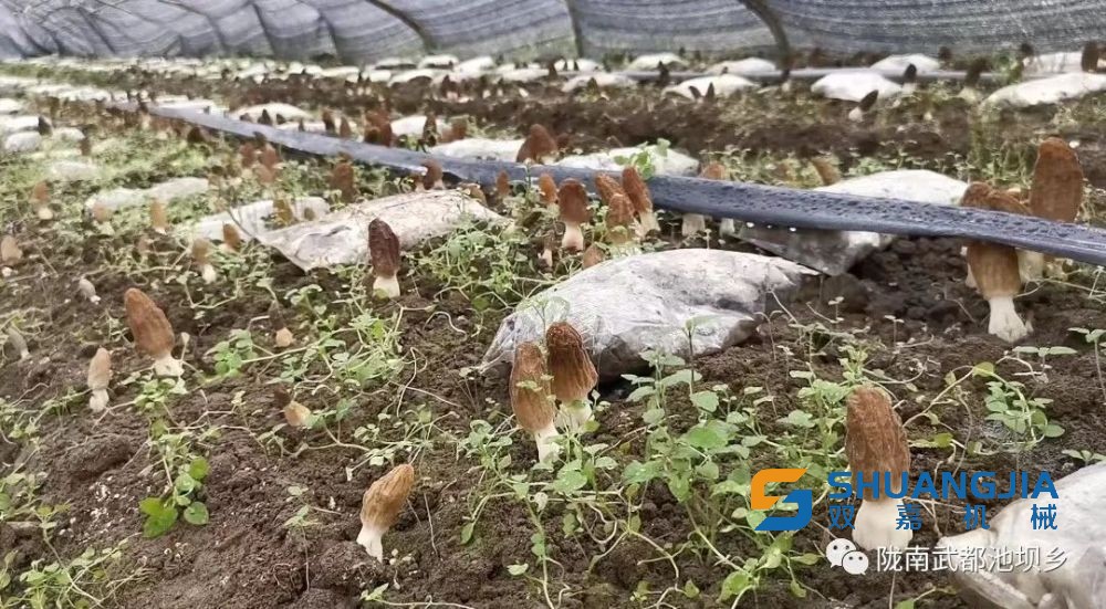 1655007813167807.jpg 15-58-00-93-283825.jpg