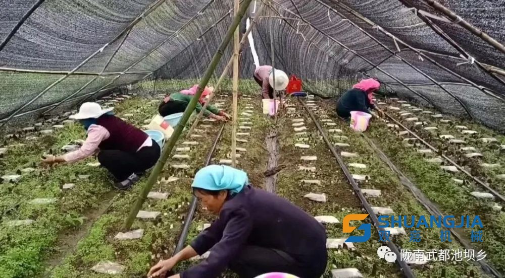 1655007833515497.jpg 15-58-19-63-283825.jpg