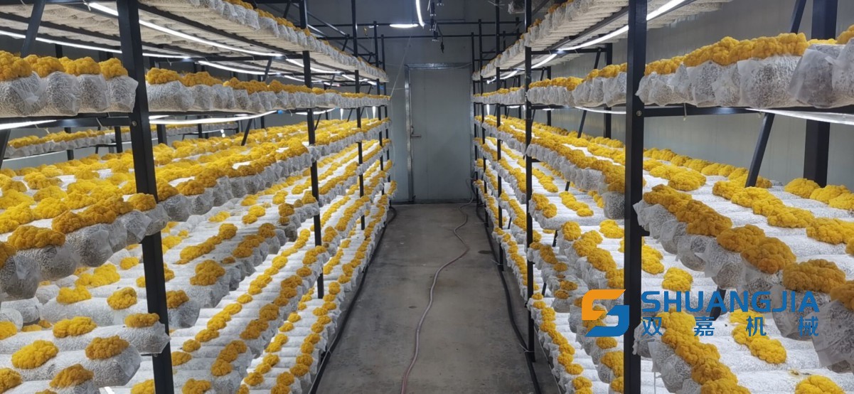 1655344688898576.jpg 11-54-42-42-283825.jpg