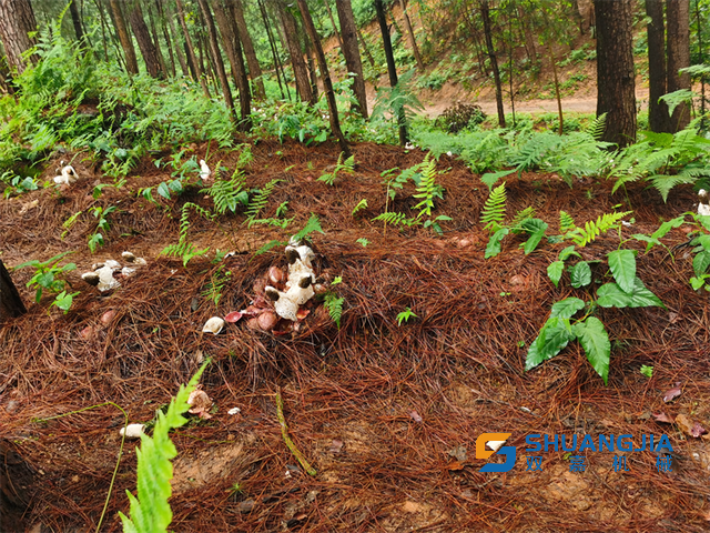 1656292146164583.png 20-49-22-71-283825.png