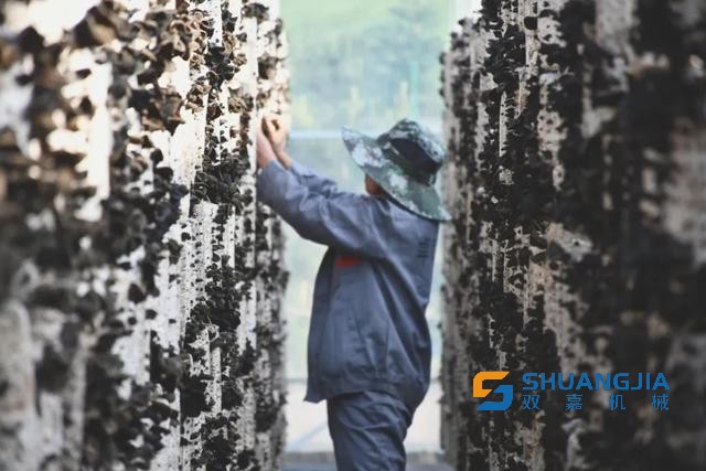 1656553504109129.jpg 17-05-05-49-283825.jpg