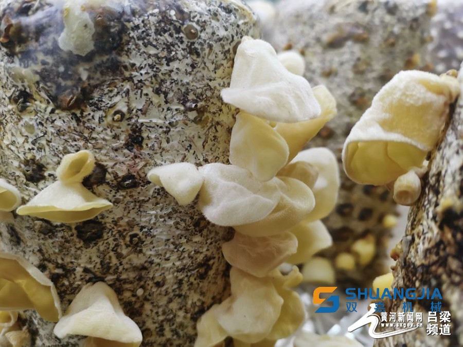 1656553643179047.jpg 17-18-00-23-283825.jpg