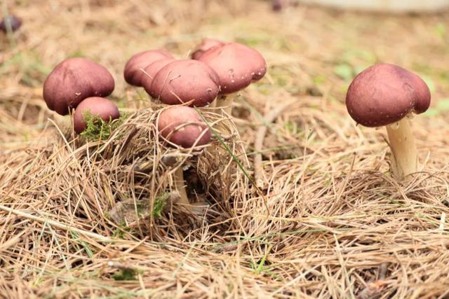 1656637781730843.jpeg 13-43-15-42-283825.jpeg