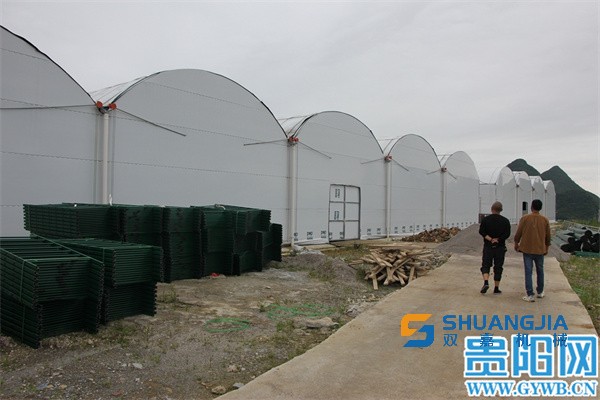 1656728204621762.jpg 09-12-20-27-283825.jpg