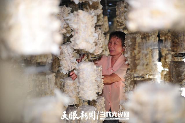 1656728580134841.jpeg 10-03-39-75-283825.jpeg