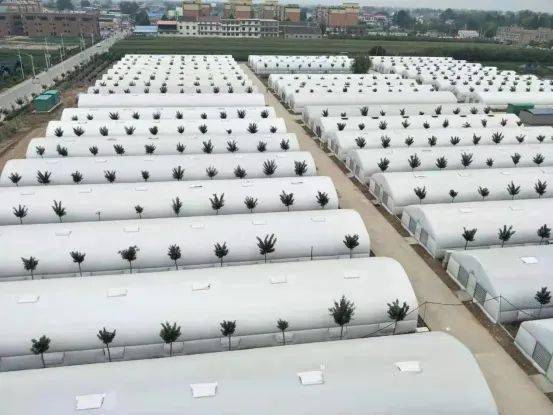 1658367457209574.jpeg 11-10-23-11-283825.jpeg