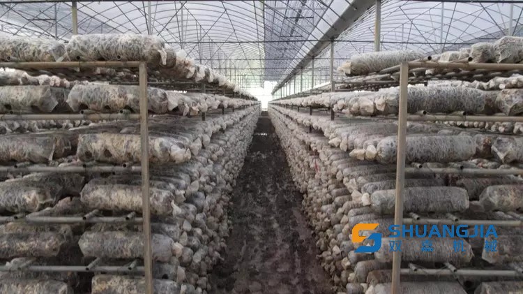 1659326444210390.jpg 09-37-38-52-283825.jpg