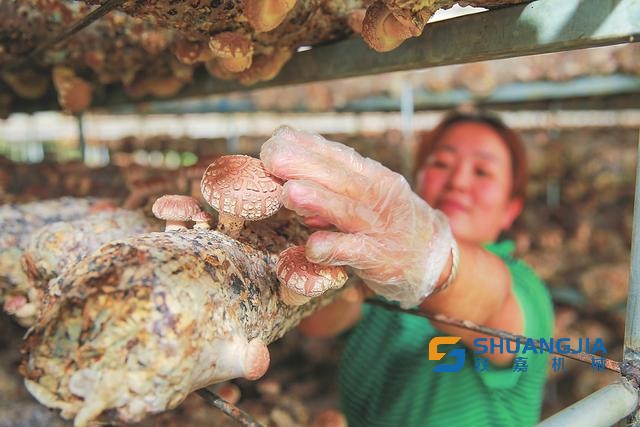 1661135587378449.jpg 09-10-46-44-283825.jpg